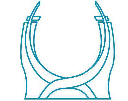 Raffles and Fairmont Icon - Qatar